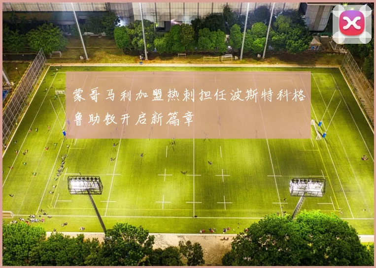 蒙哥马利加盟热刺担任波斯特科格鲁助教开启新篇章